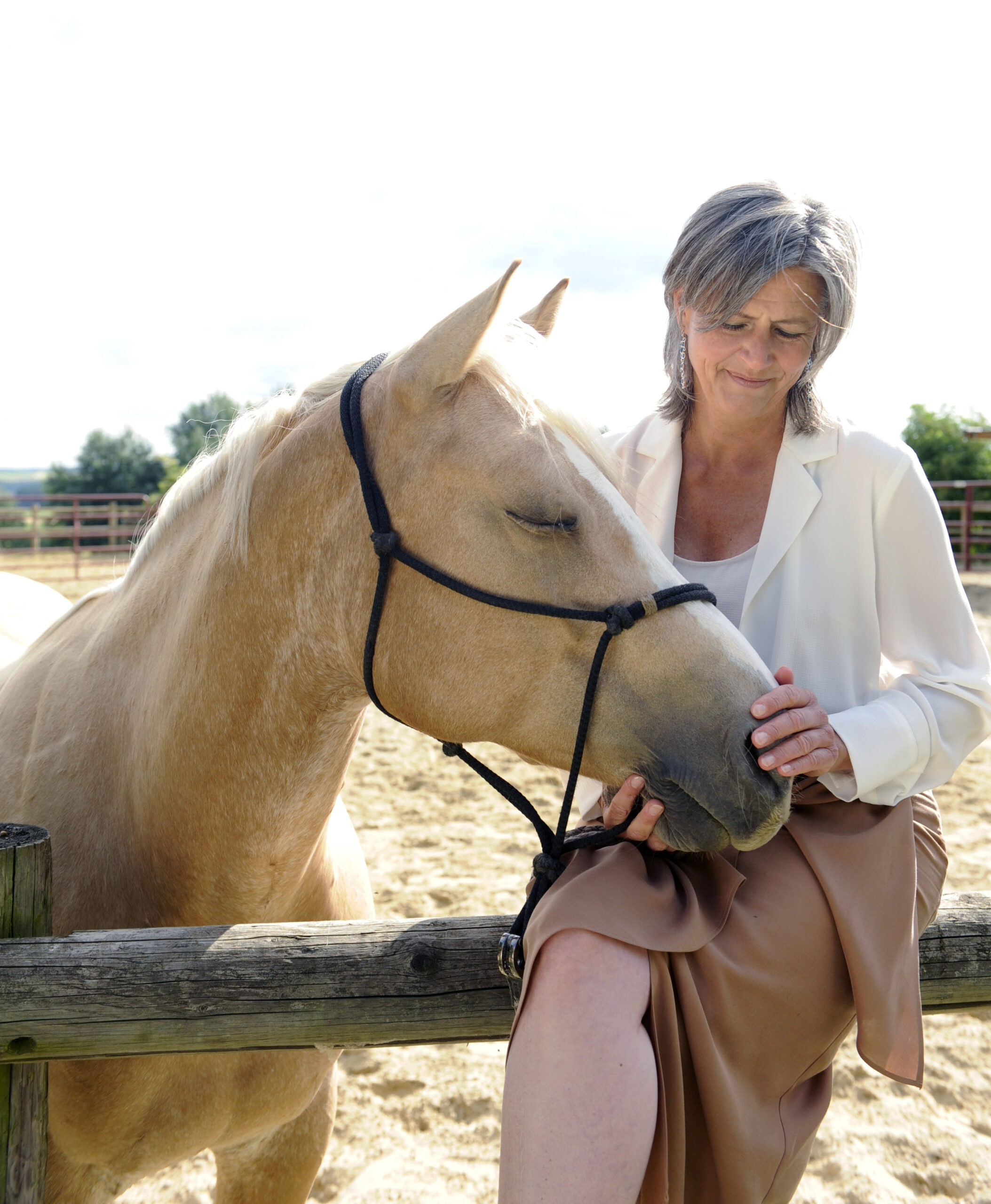 _CWI7612 le cheval comme guérisseur de l'homme