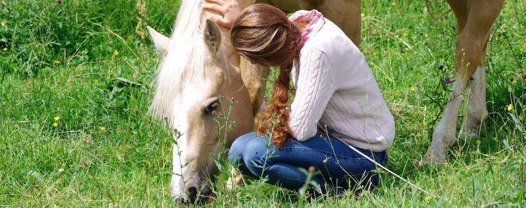 Le cheval est-il vraiment un être guérisseur ? Le cheval est-il vraiment un être guérisseur ?