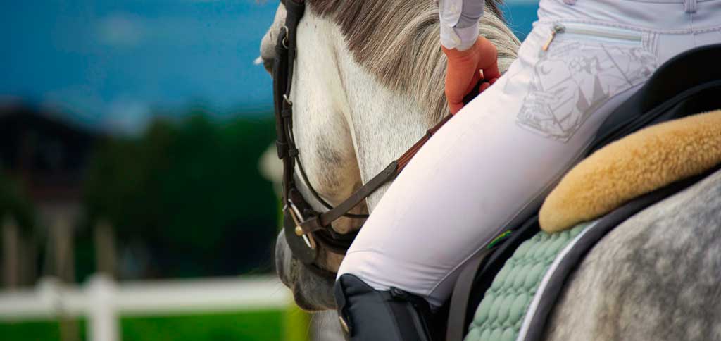 Moniteurs d'équitation, et si vous aviez une autre casquette ? Moniteurs d'équitation, et si vous aviez une autre casquette ?