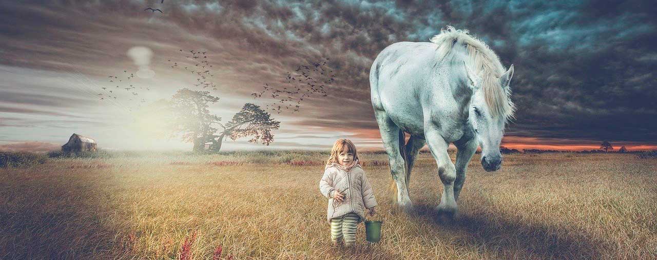 Equicoaching: le plaisir d’être à pied à côté du cheval Equicoaching: le plaisir d’être à pied à côté du cheval