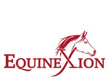equinexion-Logo