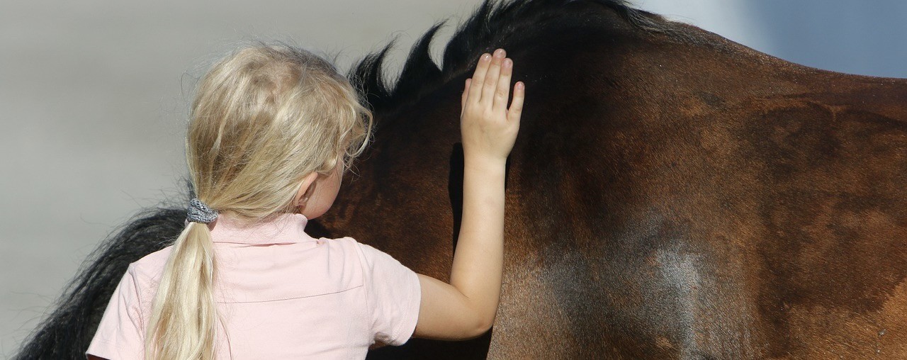 horse-4418696_1280 Le cheval pour "Croire en l'impossible"