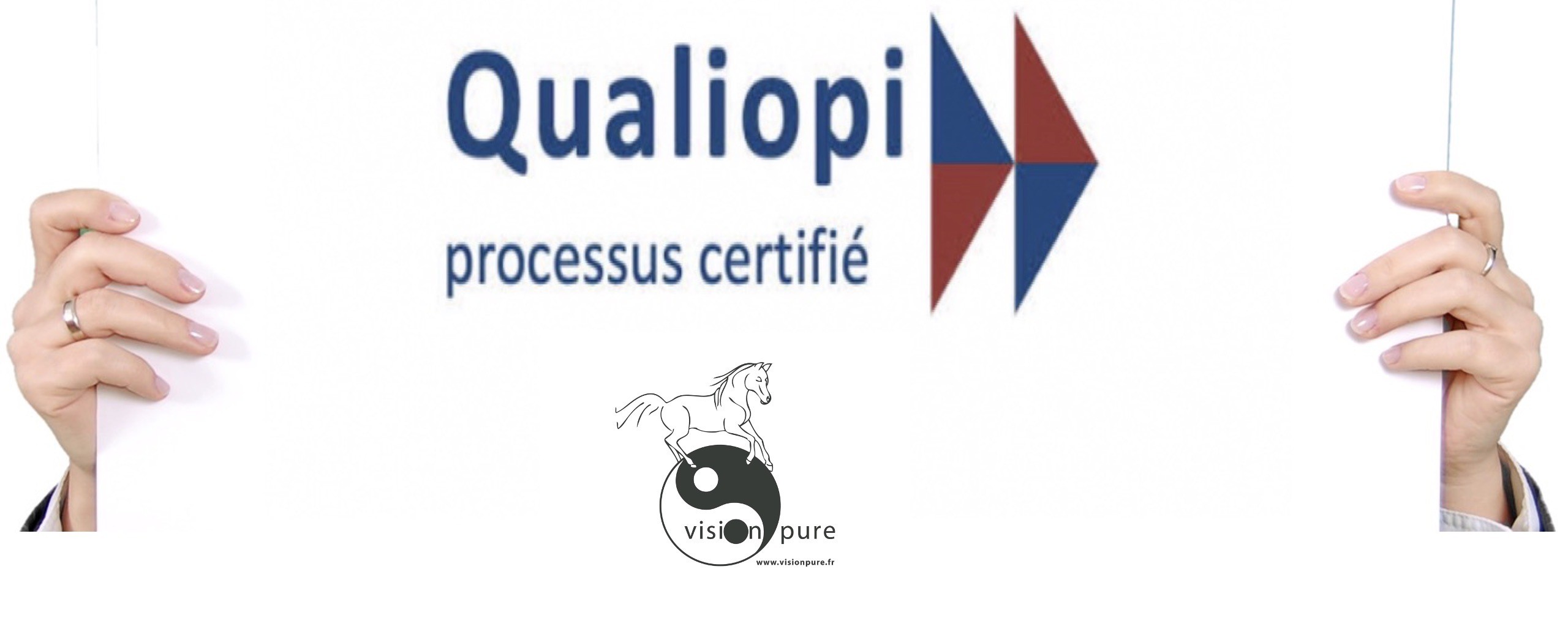 visionpure certifié Qualiopi